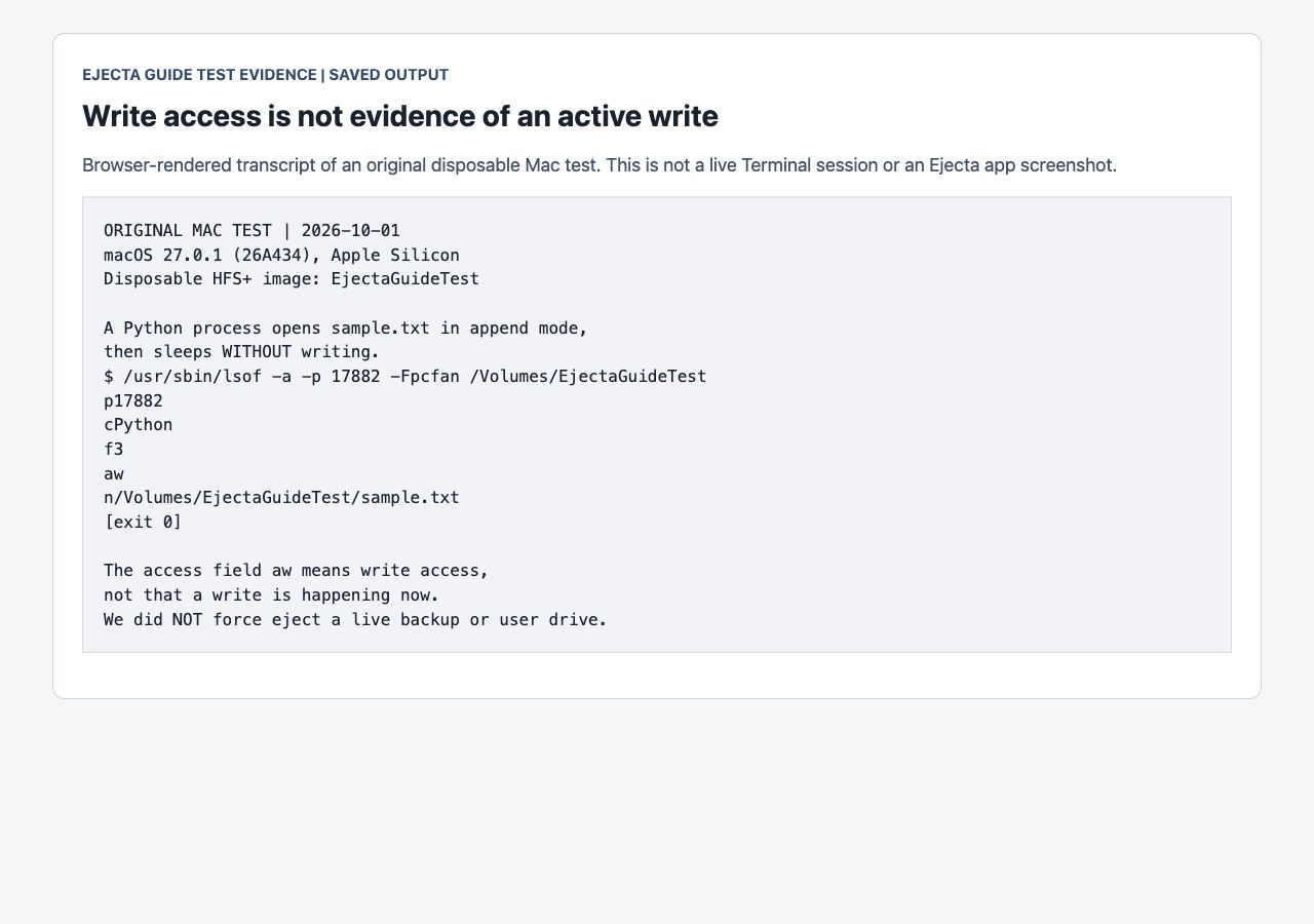 Browser-rendered saved Mac output from the idle writable-file experiment, explicitly distinguishing write access from an active write.